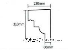 产品分解图型 - 檐口线，型号：SX311-YK-3，规格：230x310mm(3) - 温州三象EPS建材 wenzhou.sx311.cc